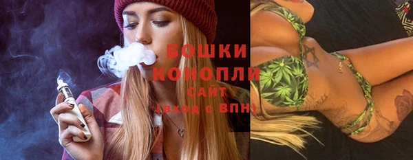 дурь Новодвинск