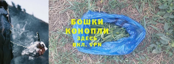 дурь Новодвинск