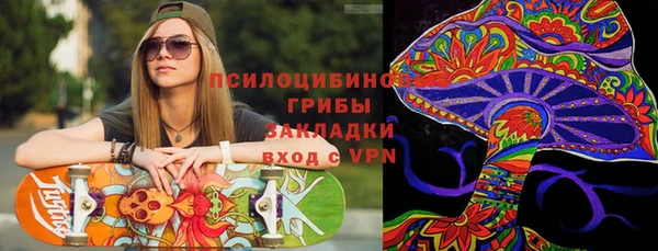 индика Нея