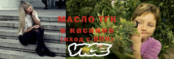 дурь Новодвинск