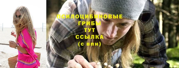 дмт Няндома