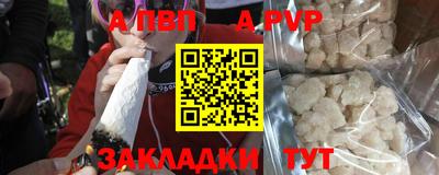 стафф Гай