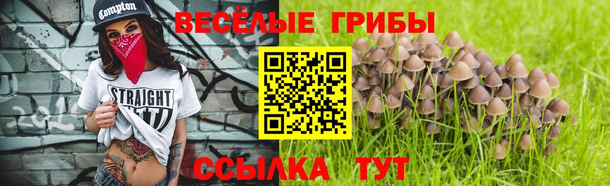 Галлюциногенные грибы мицелий Кизилюрт