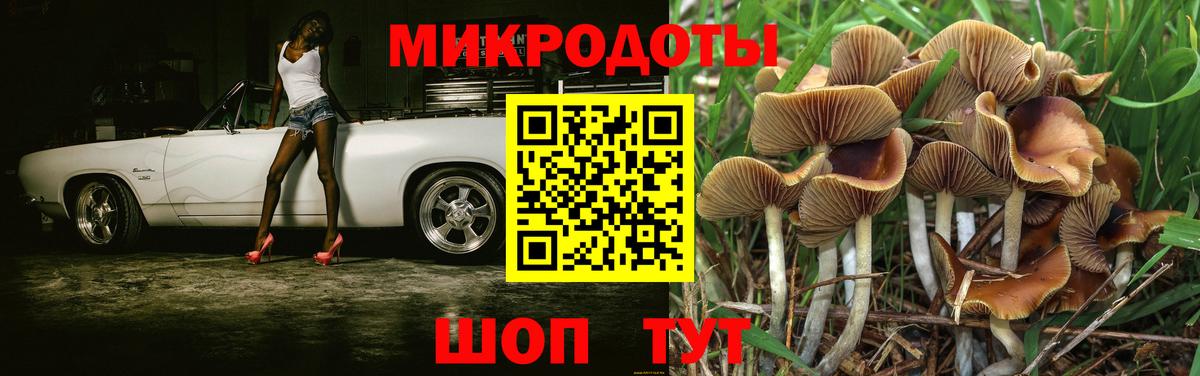 Кизилюрт  купить наркоту  Вход с VPN  Галлюциногенные грибы Magic Shrooms 