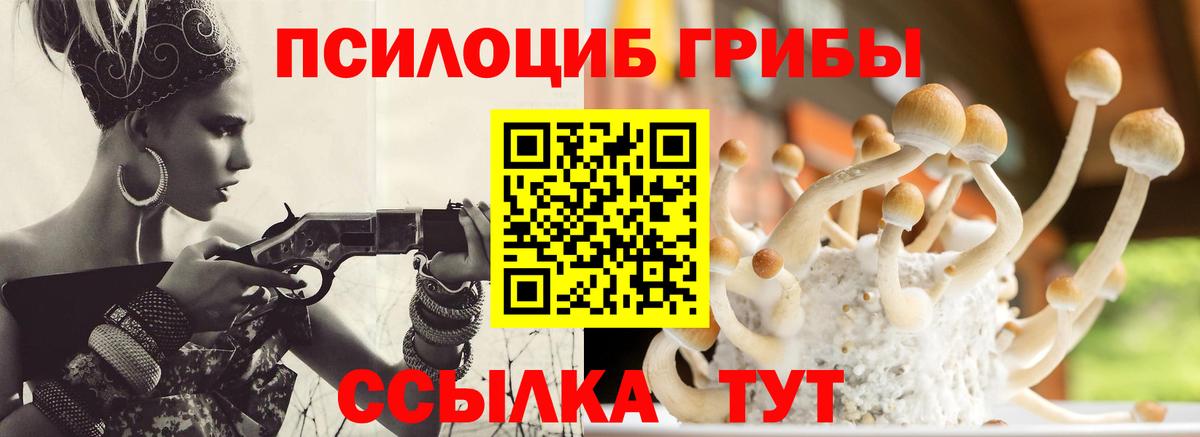 Галлюциногенные грибы Magic Shrooms Кизилюрт